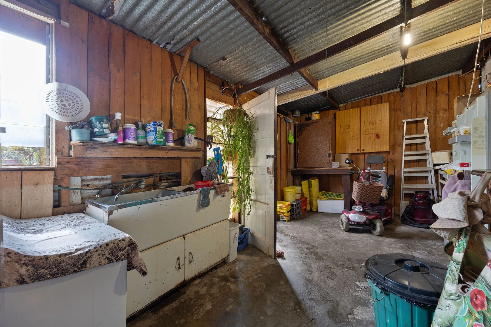 Image 11