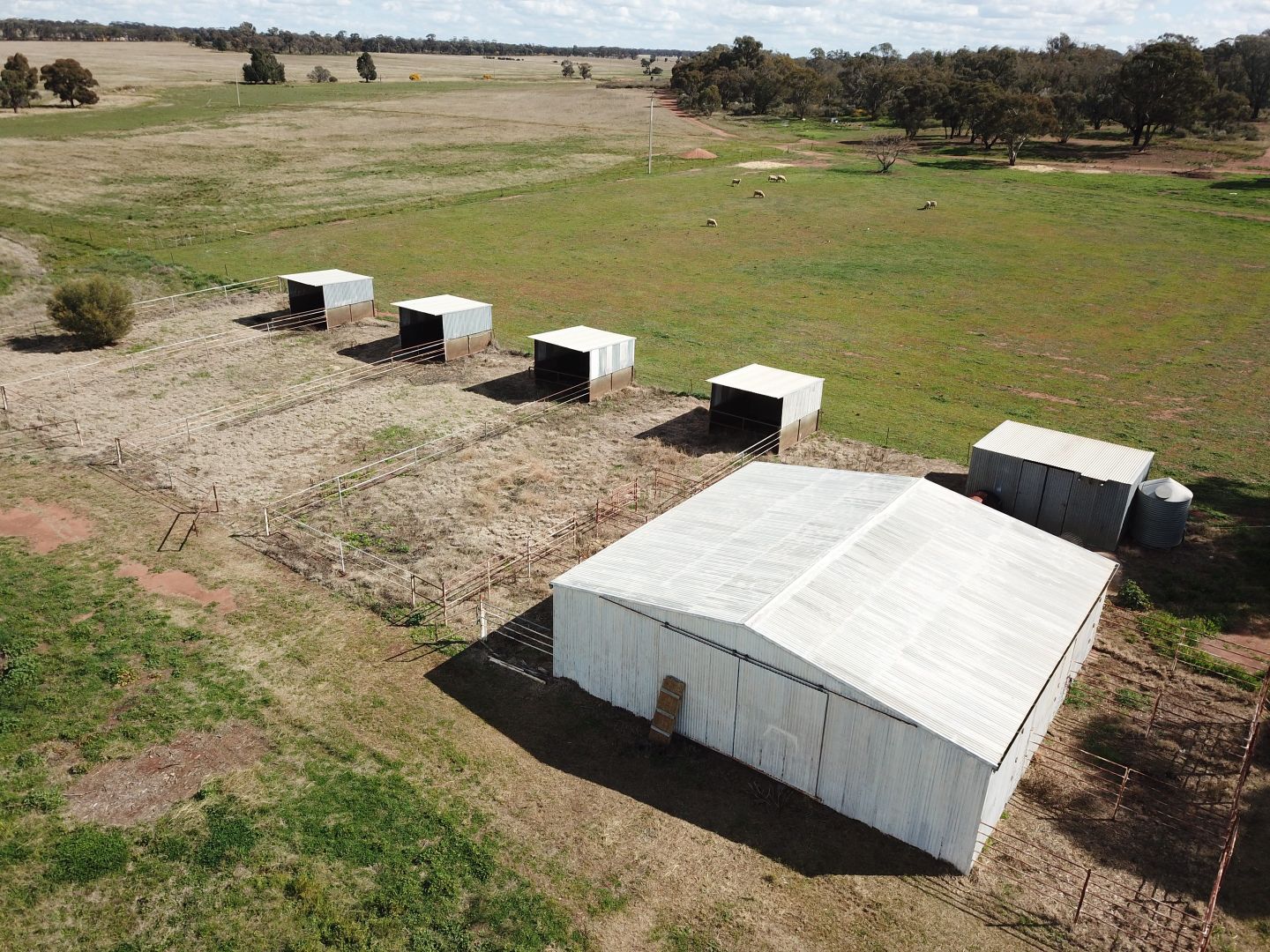 Rosebank 12983 Newell Highway, West Wyalong NSW 2671, Image 1