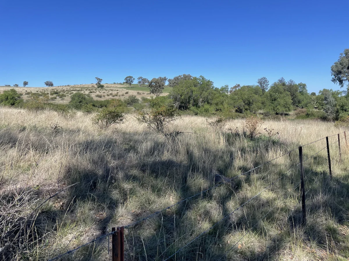 Additional image 16 of Lot 1 Noyeau Street, Woodstock NSW 2793