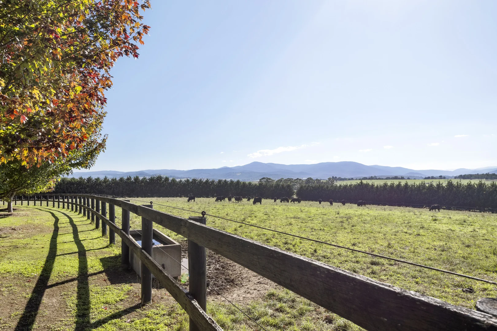 Additional image 11 of 11 Harbourmaster Road, Coldstream VIC 3770