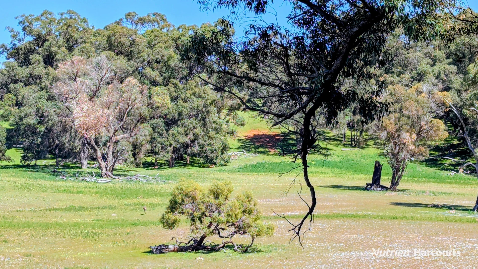 Additional image 11 of Lot 52 & 53 Cowalla Road, Cowalla, Gingin WA 6503
