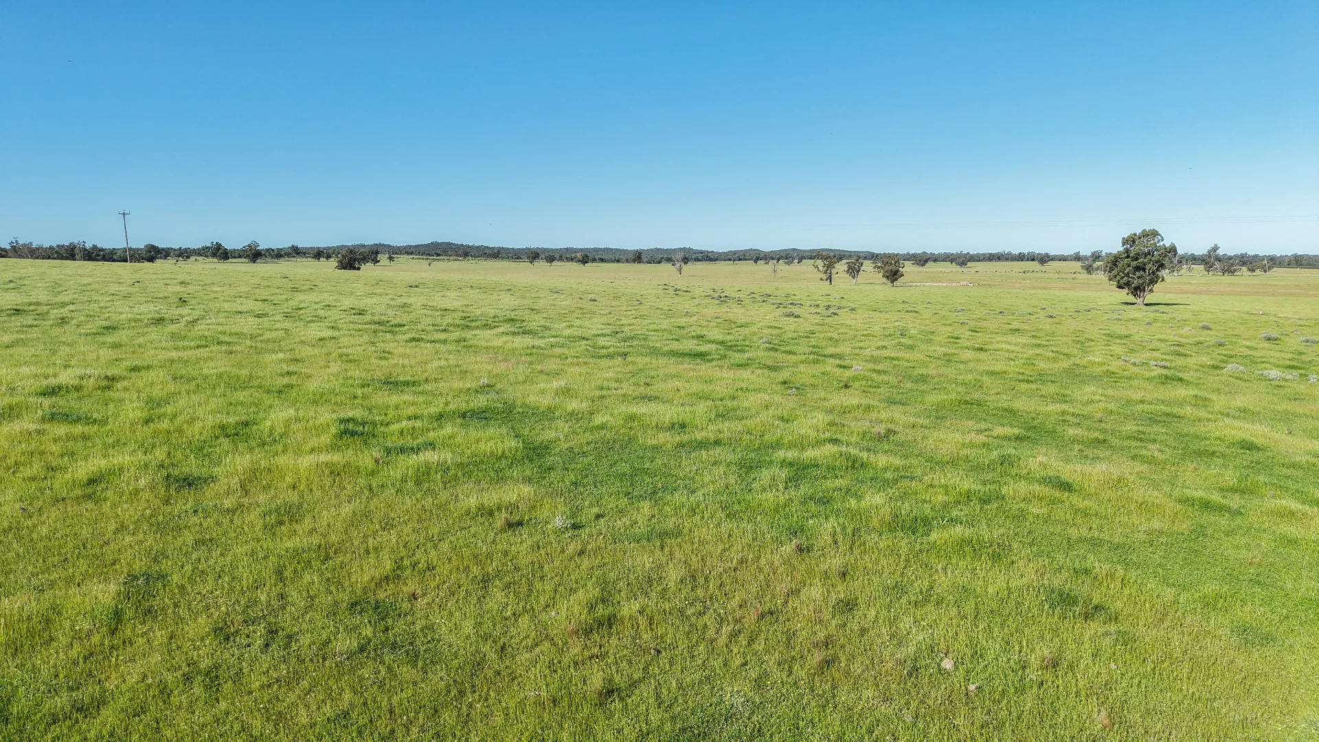 Additional image 5 of "Katella" 7878 Newell Highway, Tomingley NSW 2869