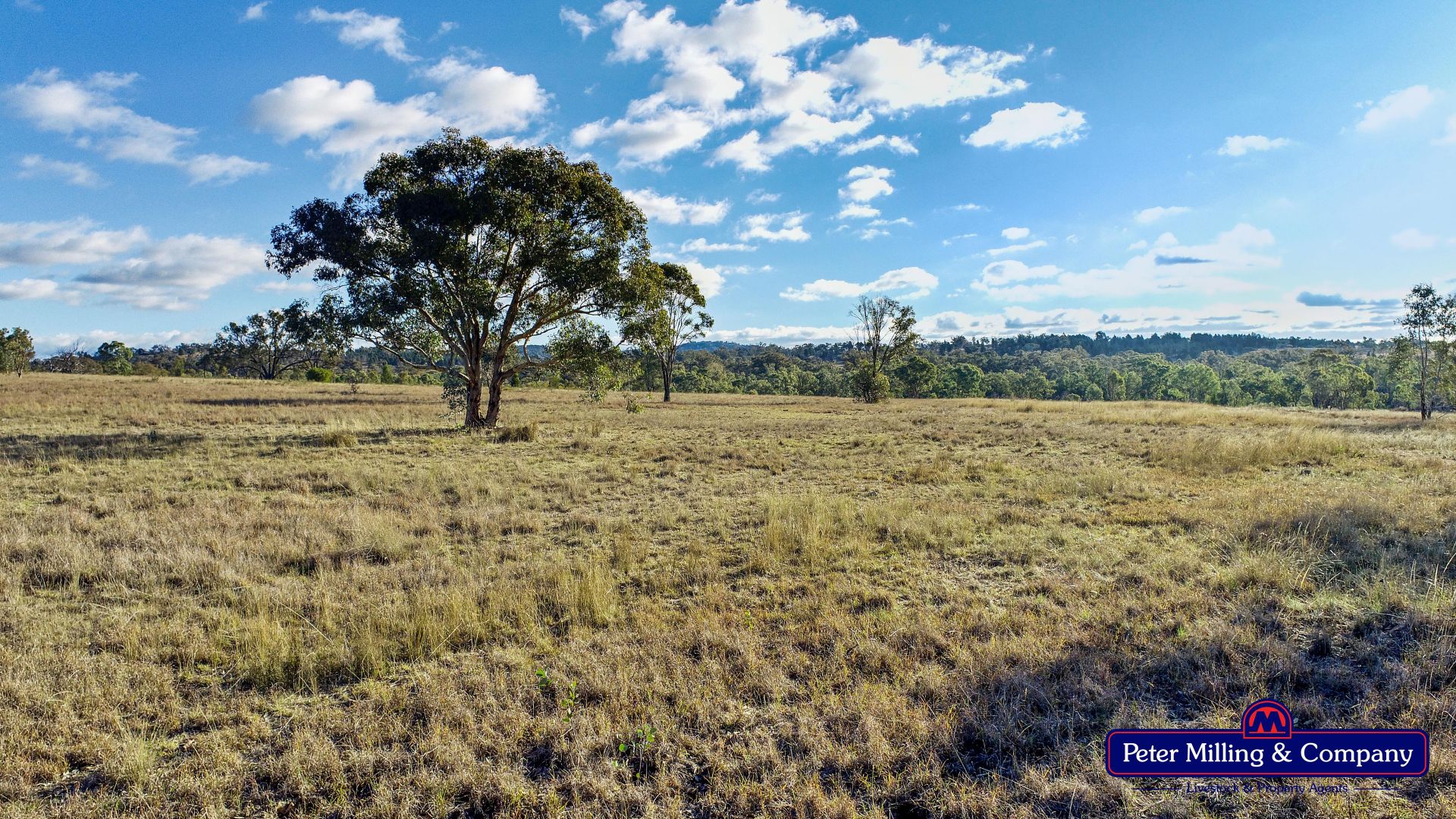 'Trafalgar' Obley Road, Obley NSW 2868, Image 1