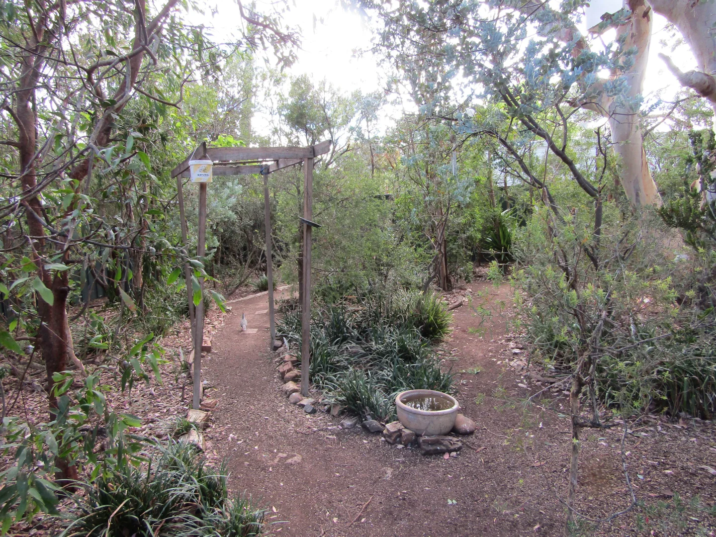 Additional image 26 of Calwell ACT 2905