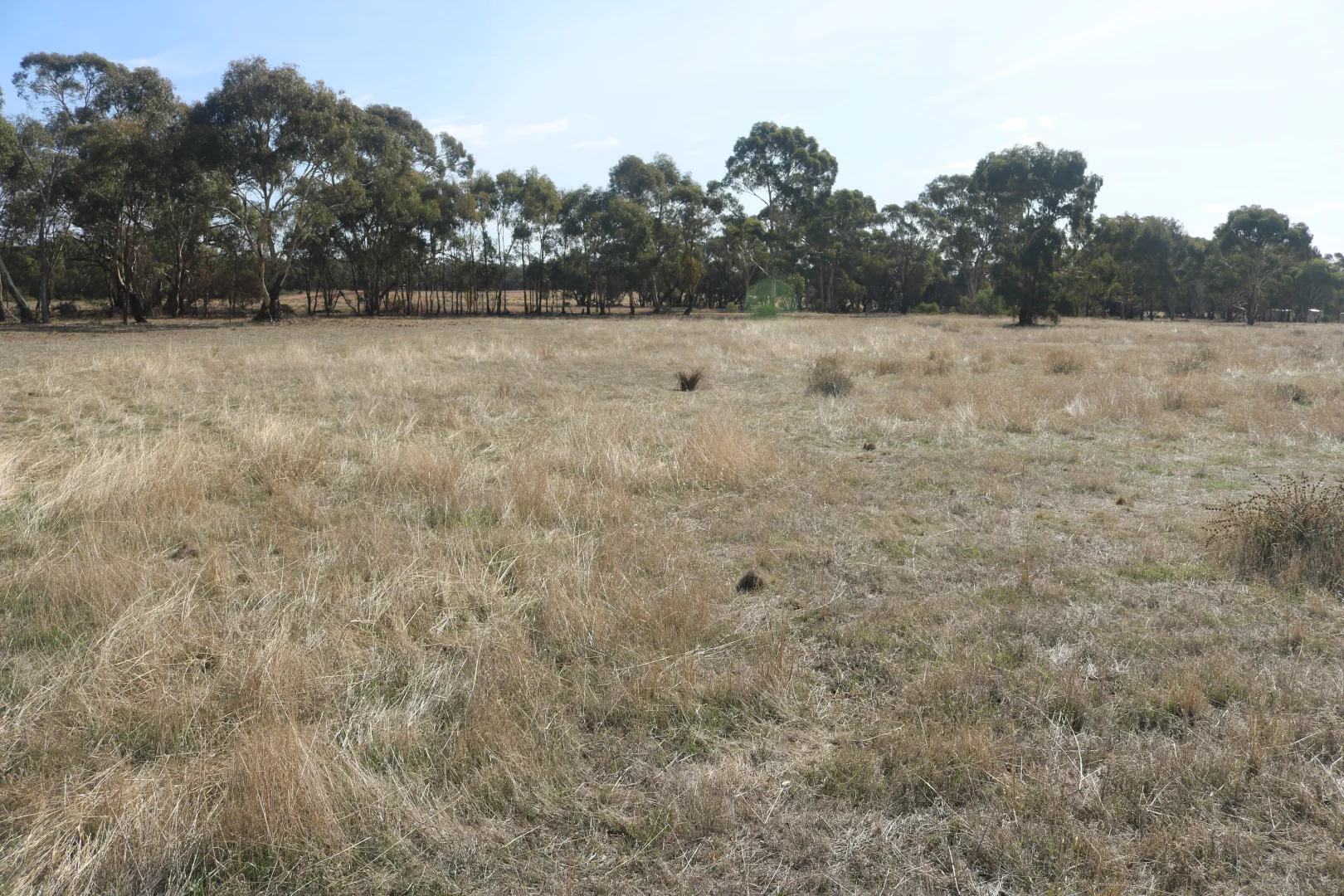 Additional image 6 of Old Boort Road, Woolshed Flat VIC 3518