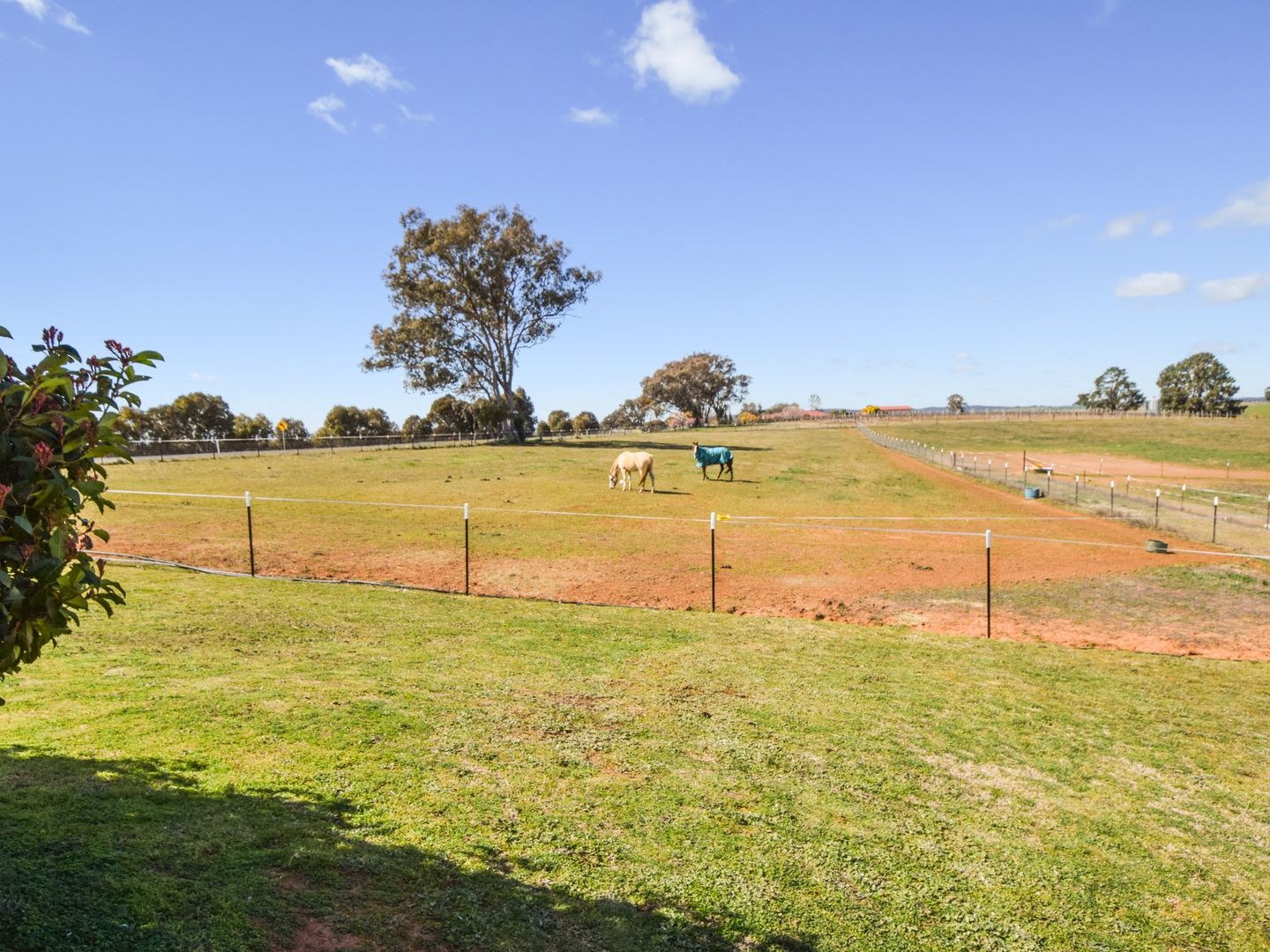 4017 Murringo Road, Young NSW 2594, Image 2