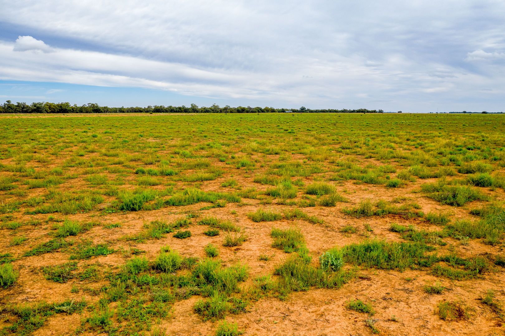 3297 Roto Road, Hillston NSW 2675, Image 1