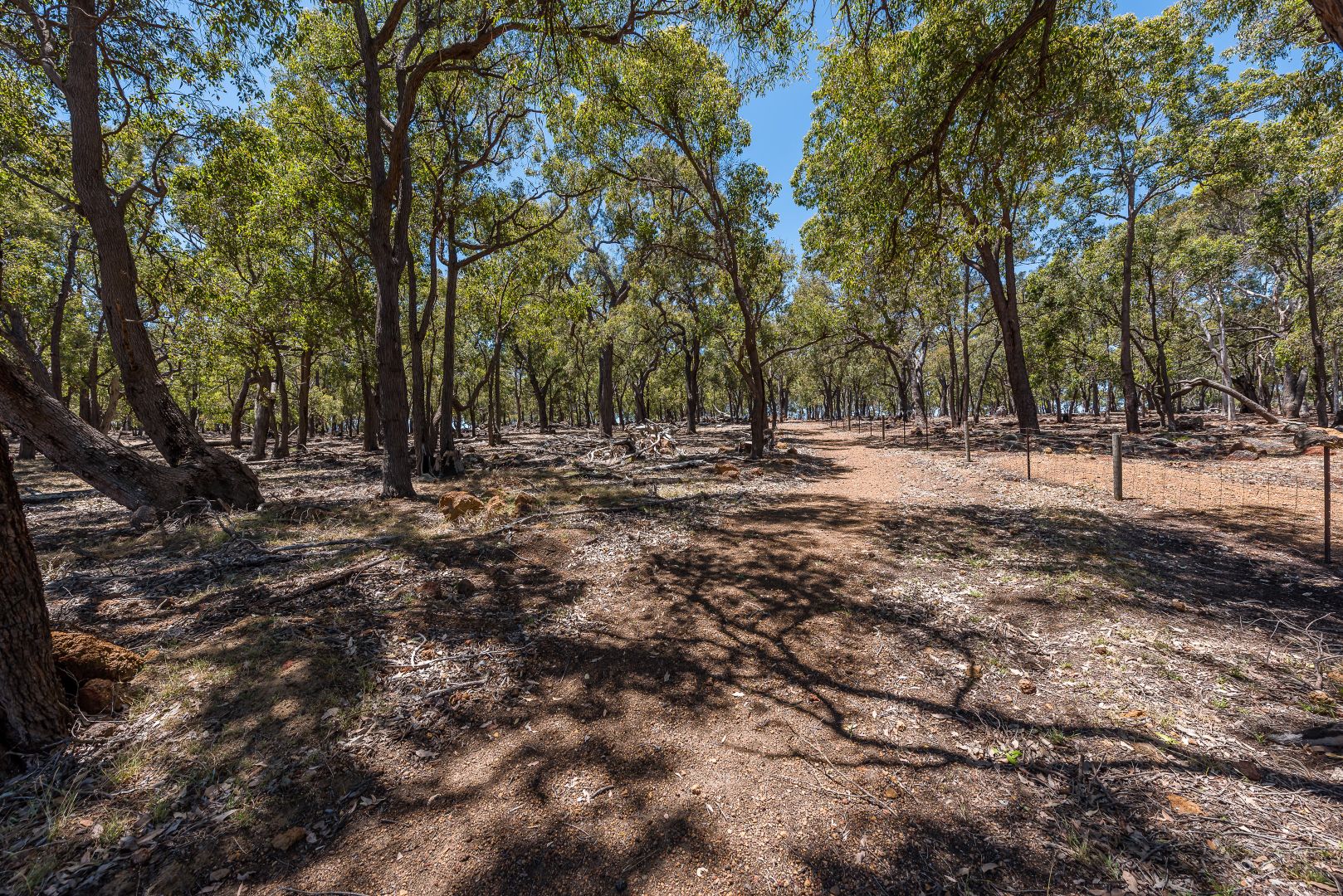 310 MaineAnjou Drive, Lower Chittering WA 6084 Domain