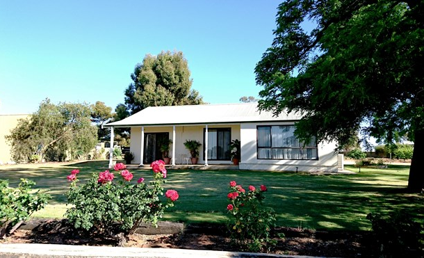 79 Checker Road, Waikerie SA 5330