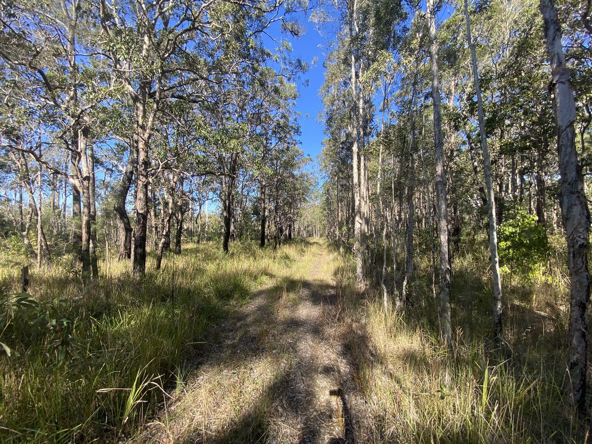 1 Wooli Road, Wooli NSW 2462 House for Sale 99,000 Domain