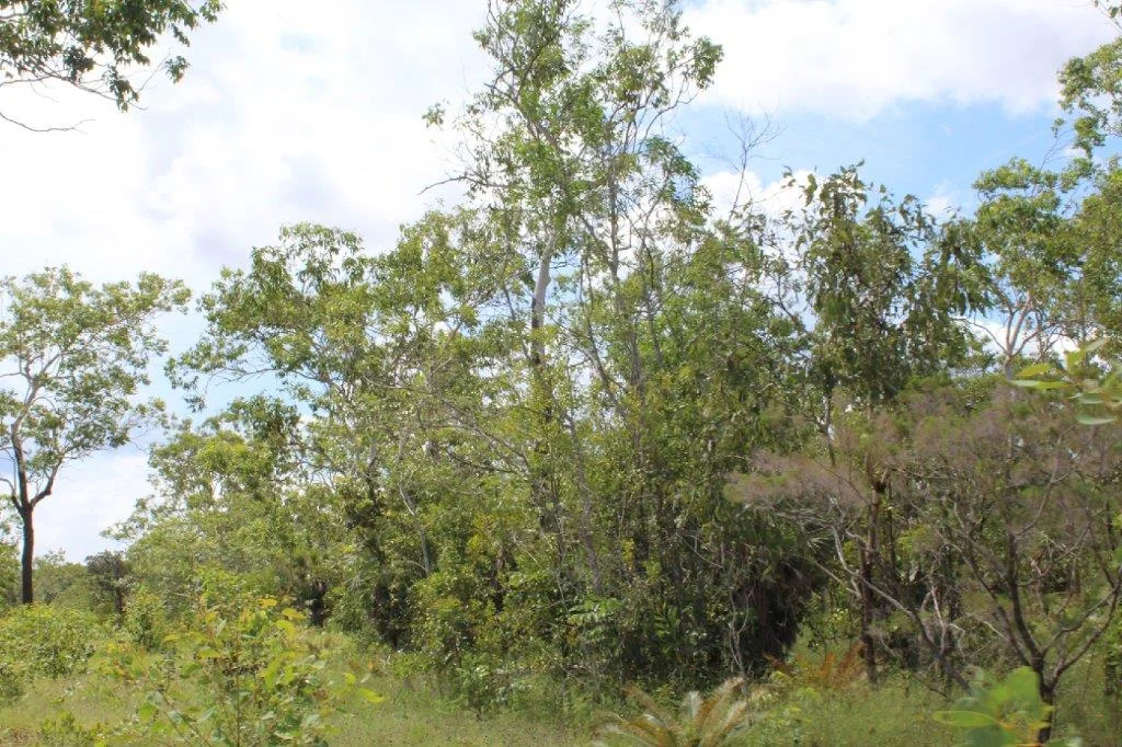 Additional image 21 of 155 Serrata Road, Dundee Downs NT 0840