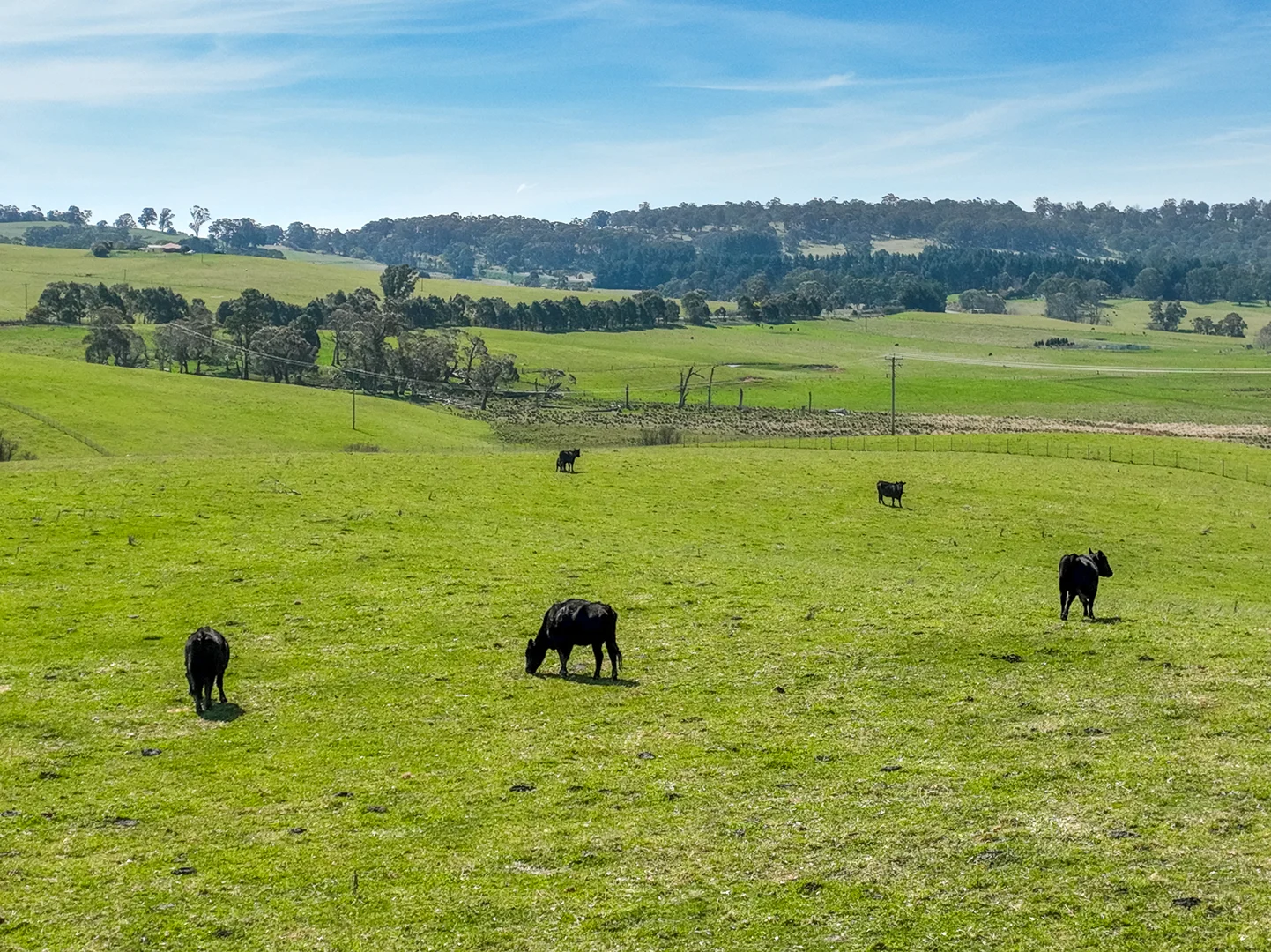 Additional image 11 of Lot 1, 1660 Edith Road, Oberon NSW 2787