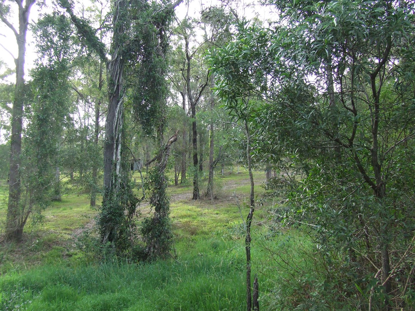 Upper Coomera QLD 4209, Image 1