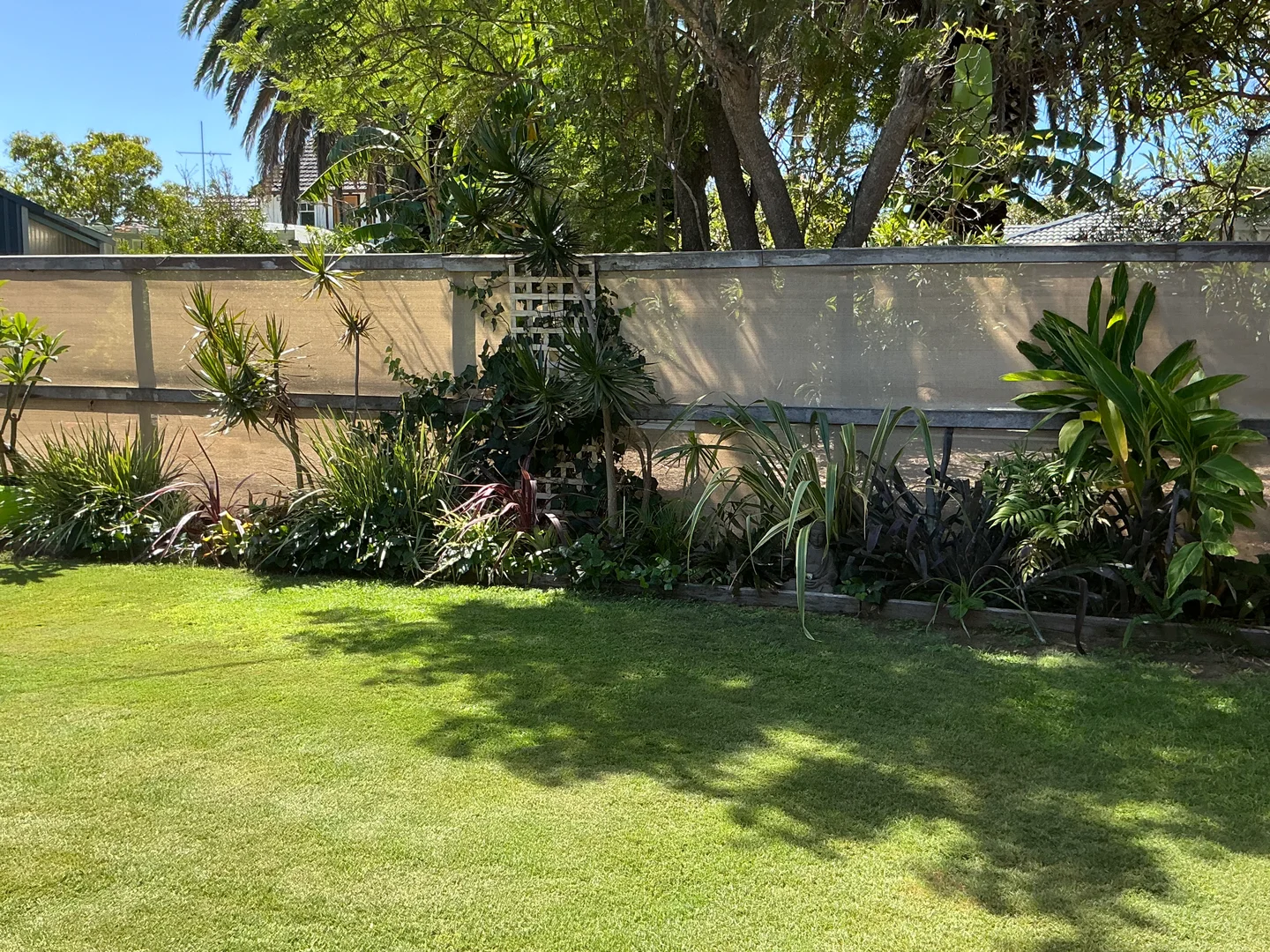 Image 14