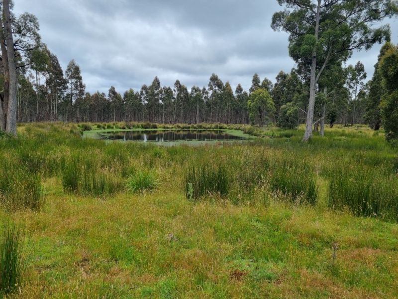 1652 Dennistoun Road, Bothwell TAS 7030, Image 0