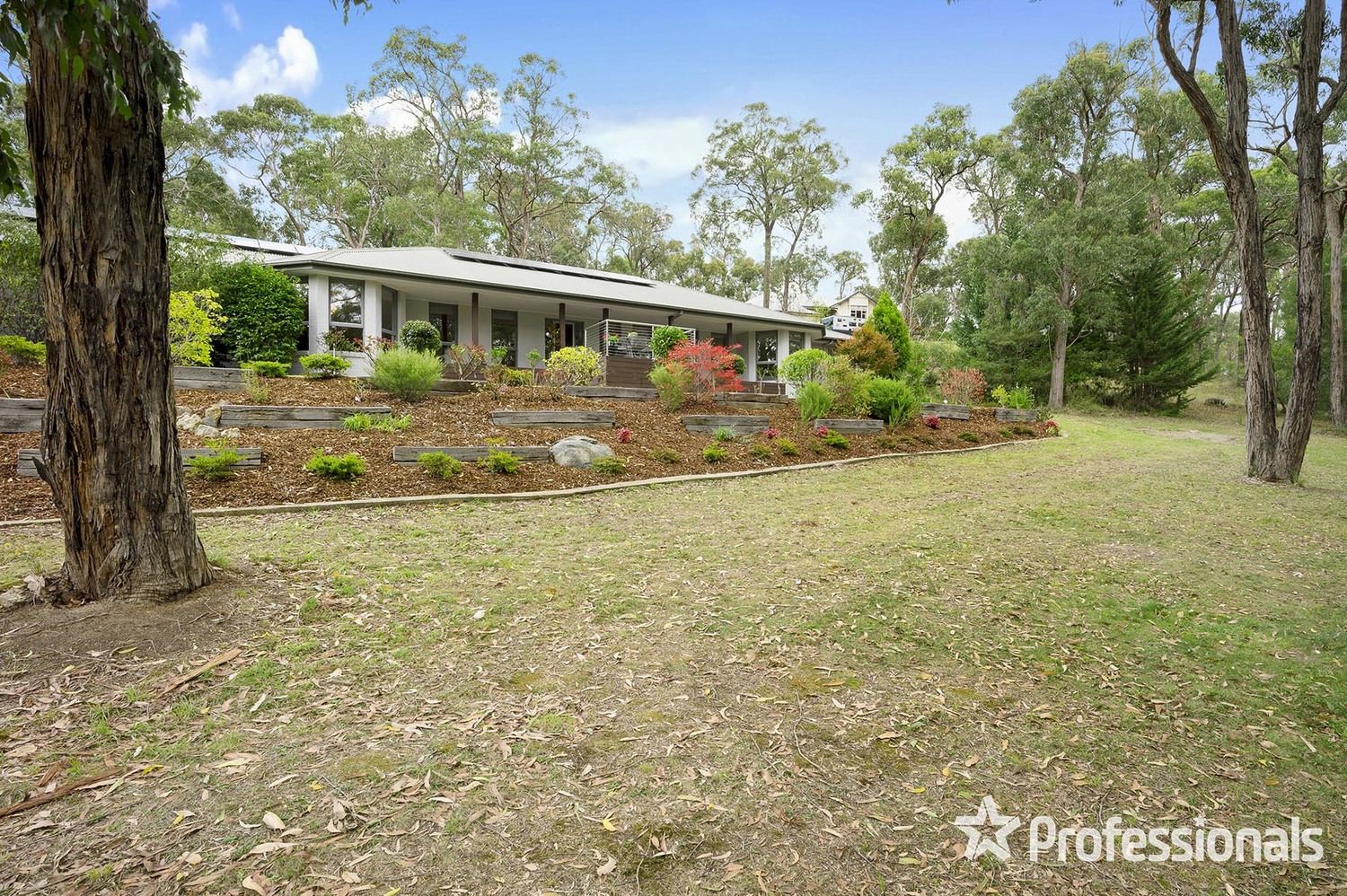 15 Harrison Road, Montrose VIC 3765, Image 0