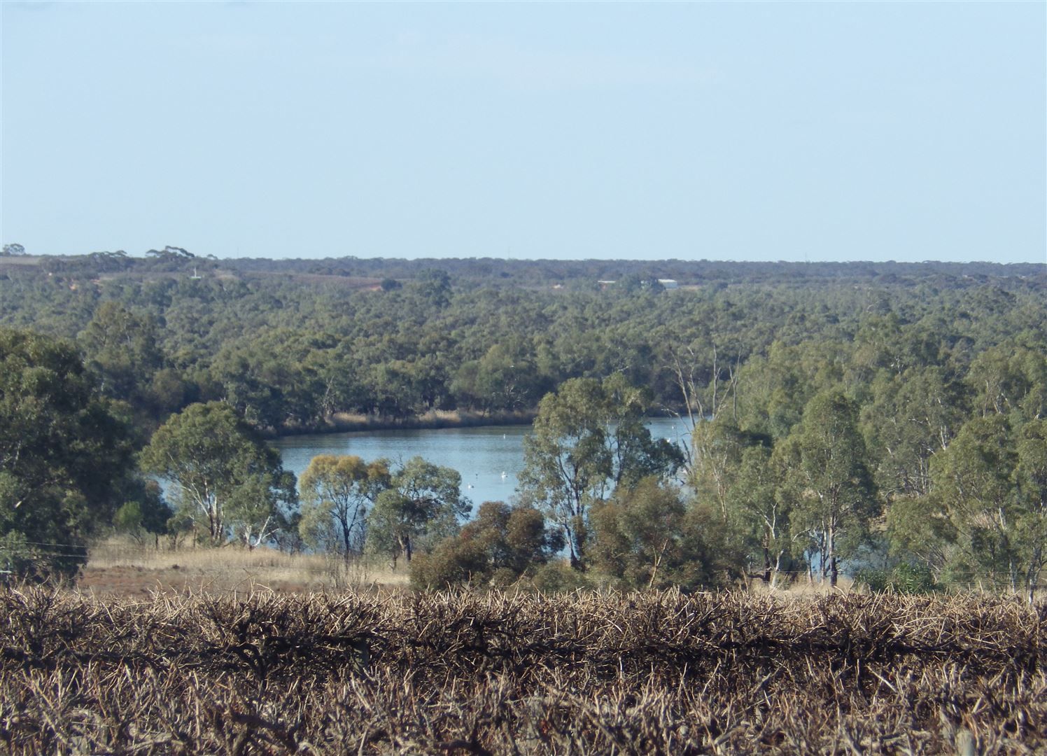 A1,2 & 17 Farley Road, Kingston On Murray SA 5331, Image 0