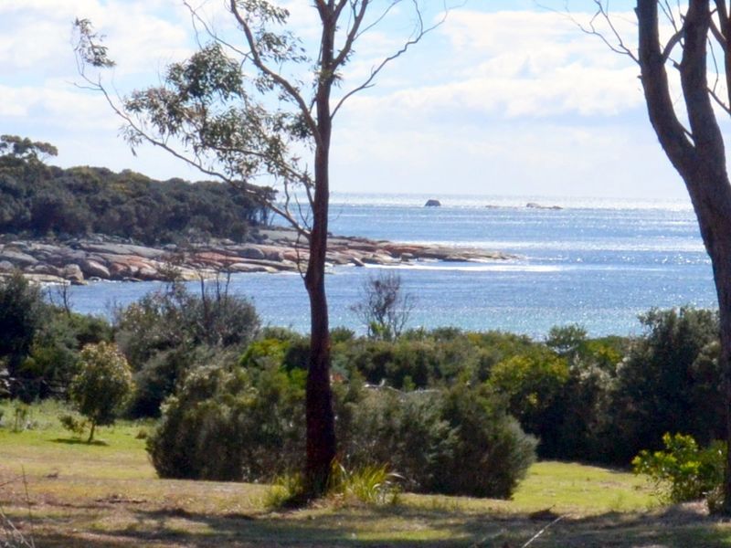 119 Harveys Farm Road, Bicheno TAS 7215, Image 0