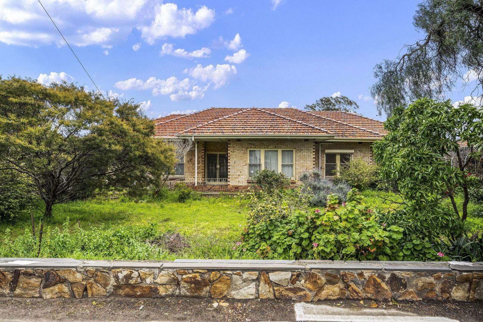 360 Marion Road, North Plympton SA 5037, Image 1