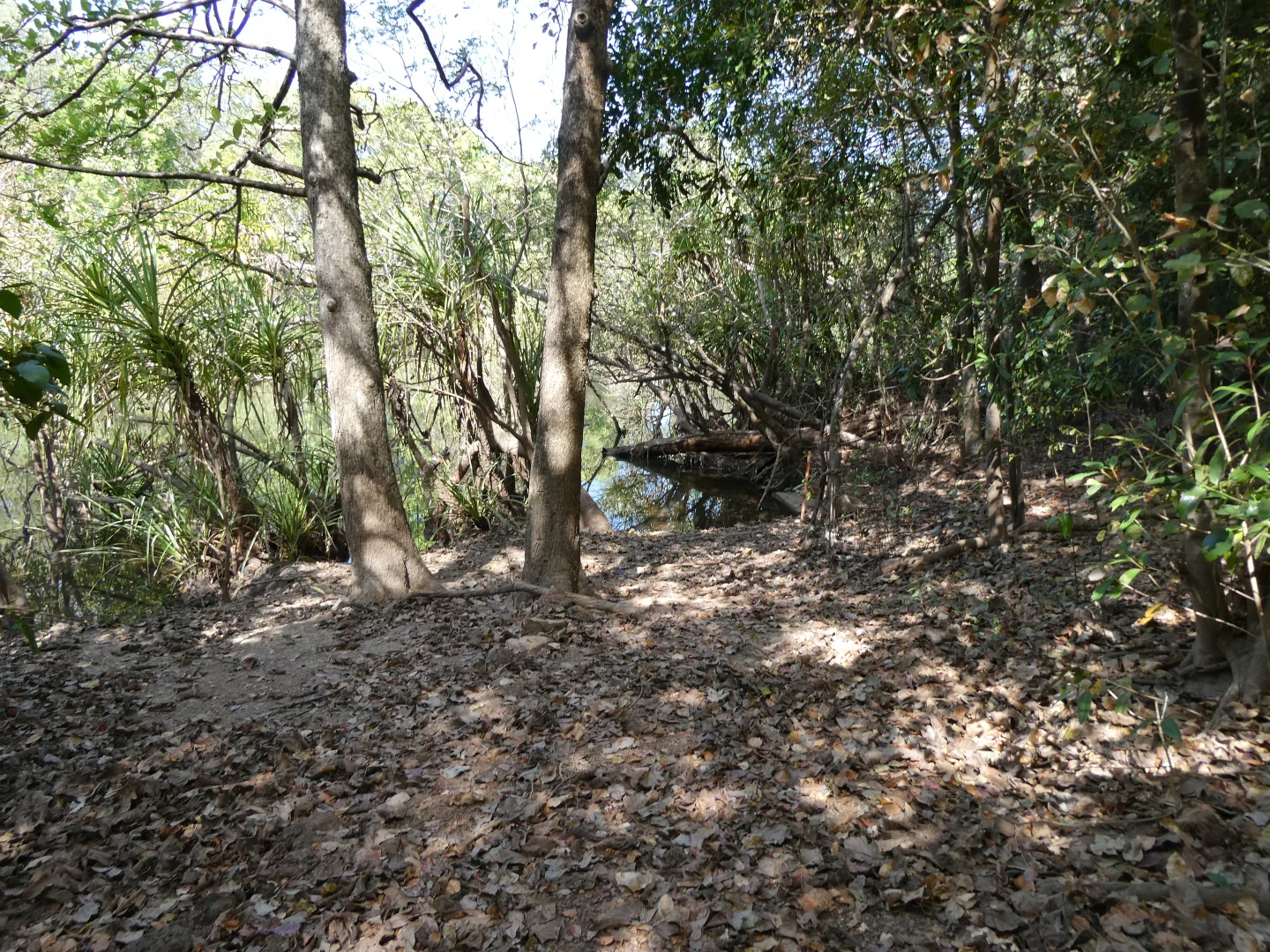 Image 6