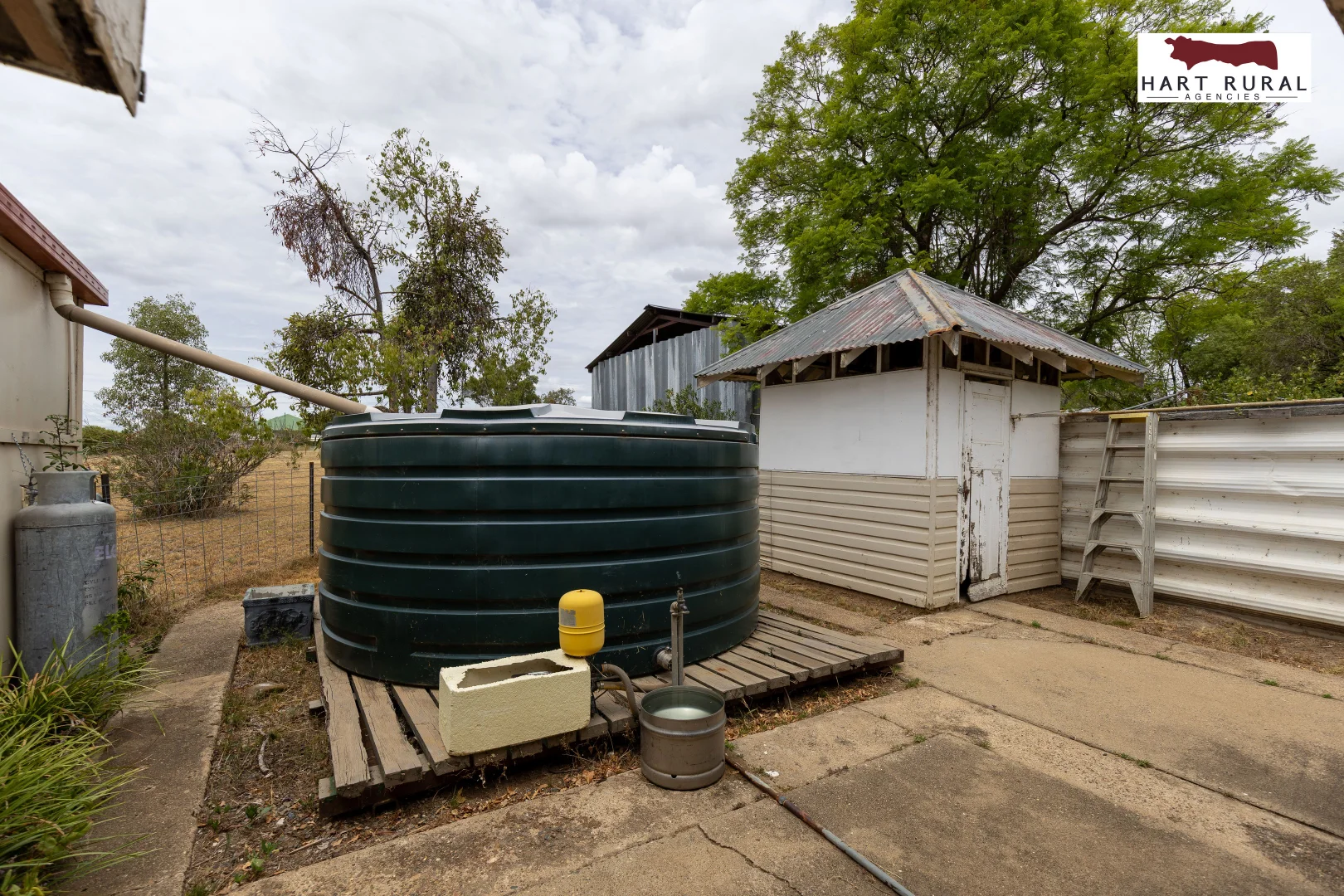 Image 12
