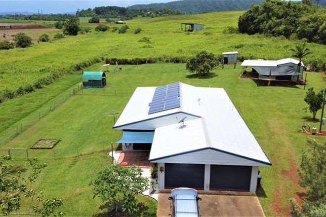 Picture of CAMP CREEK QLD 4871