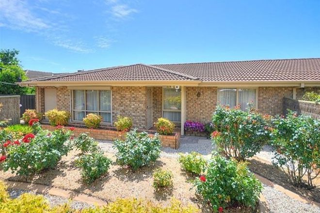 Picture of 1/23 Bandon Terrace, KINGSTON PARK SA 5049