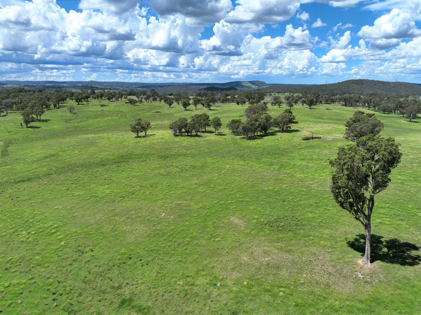 Lot 120, 254 Losebys Road Big Hill/, Marulan NSW 2579, Image 1