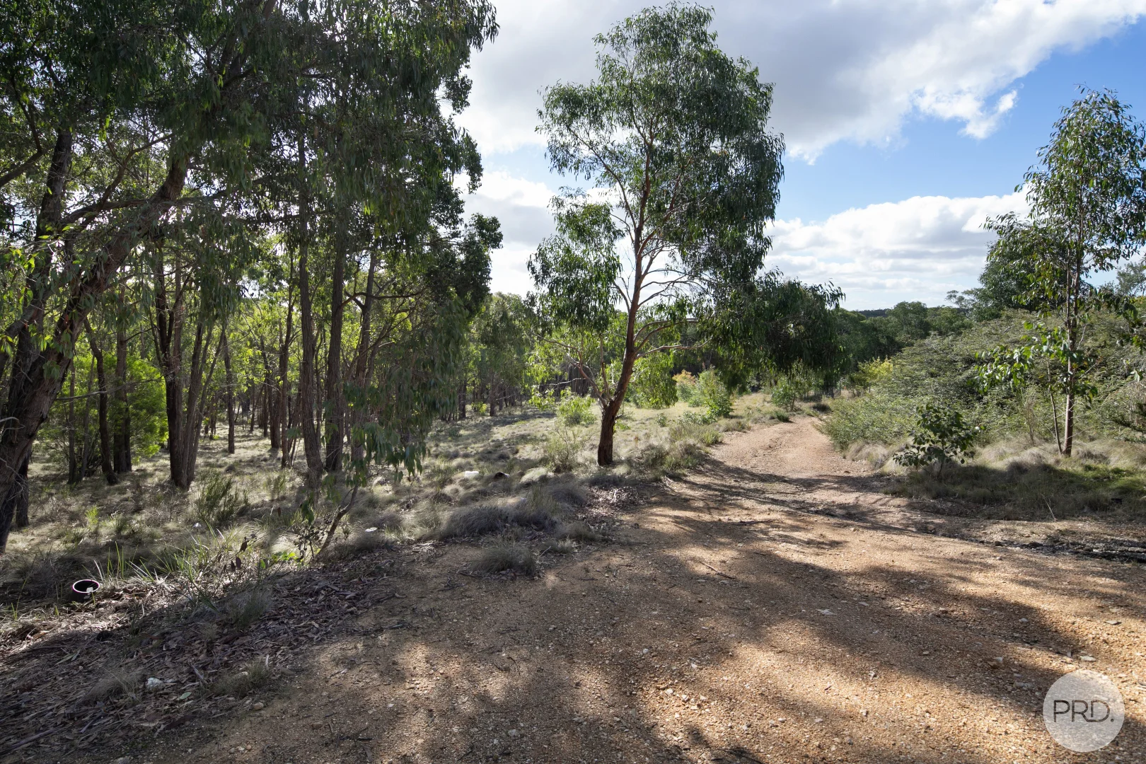 Image 19