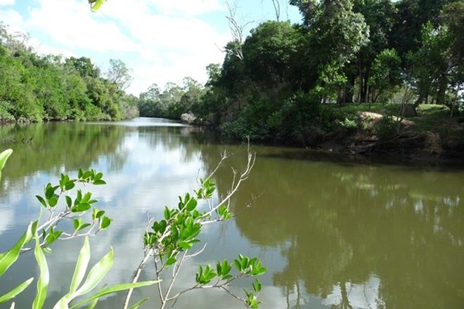 Picture of Lot 155 Mollenhagens Road, WINFIELD QLD 4670