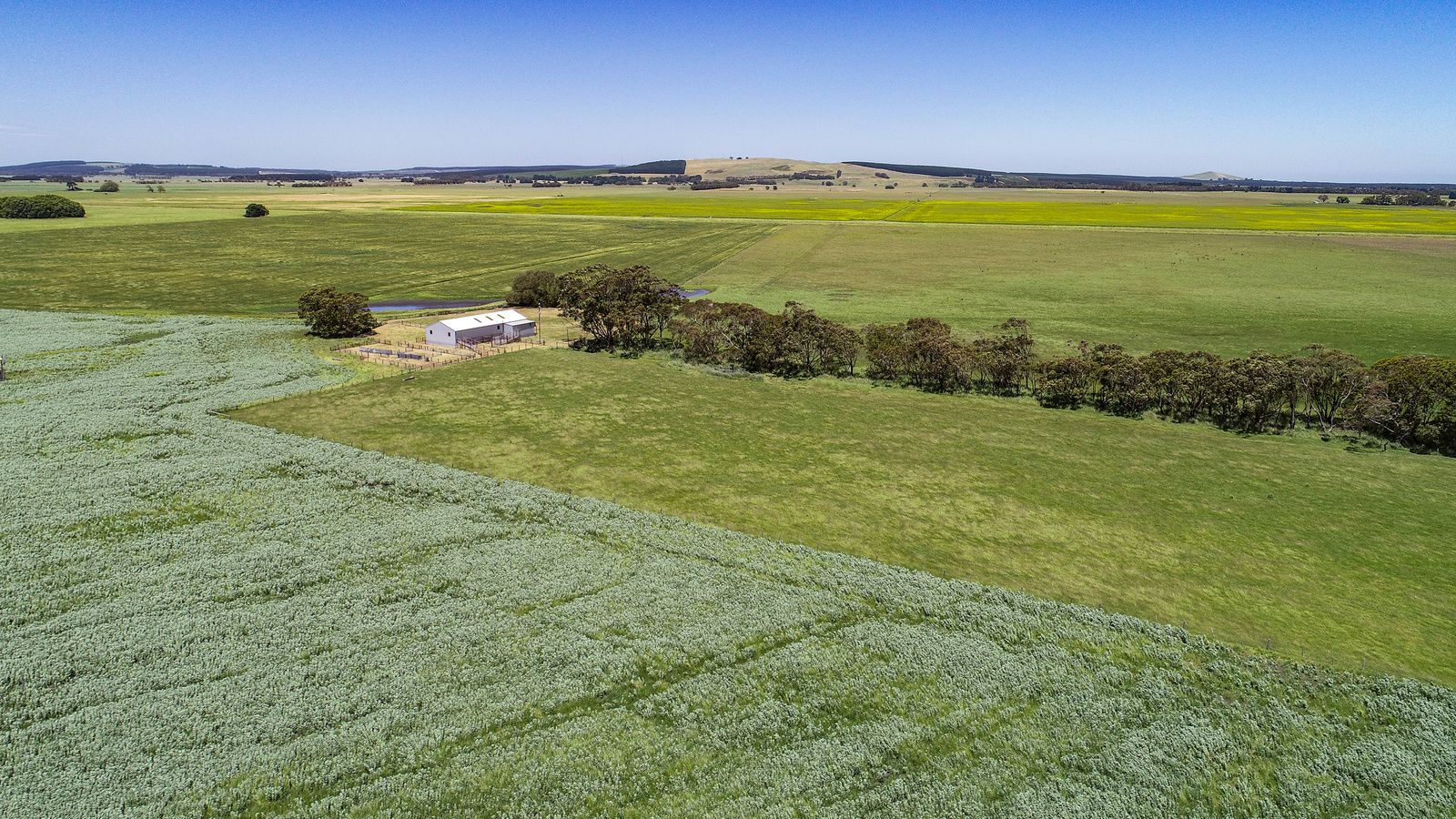 77 & 80 Fisher Road & O'Neils Lane Wattle Range, Millicent SA 5280, Image 0