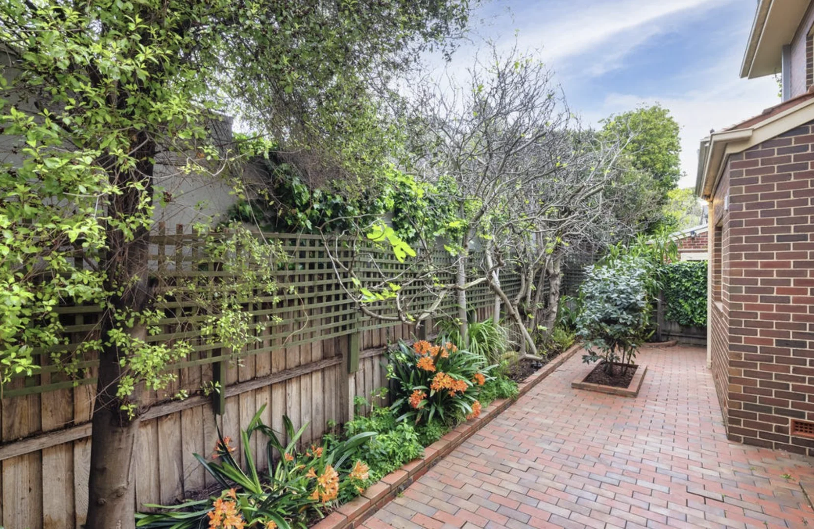 Additional image 10 of 8/16 Victoria Street, Brighton VIC 3186