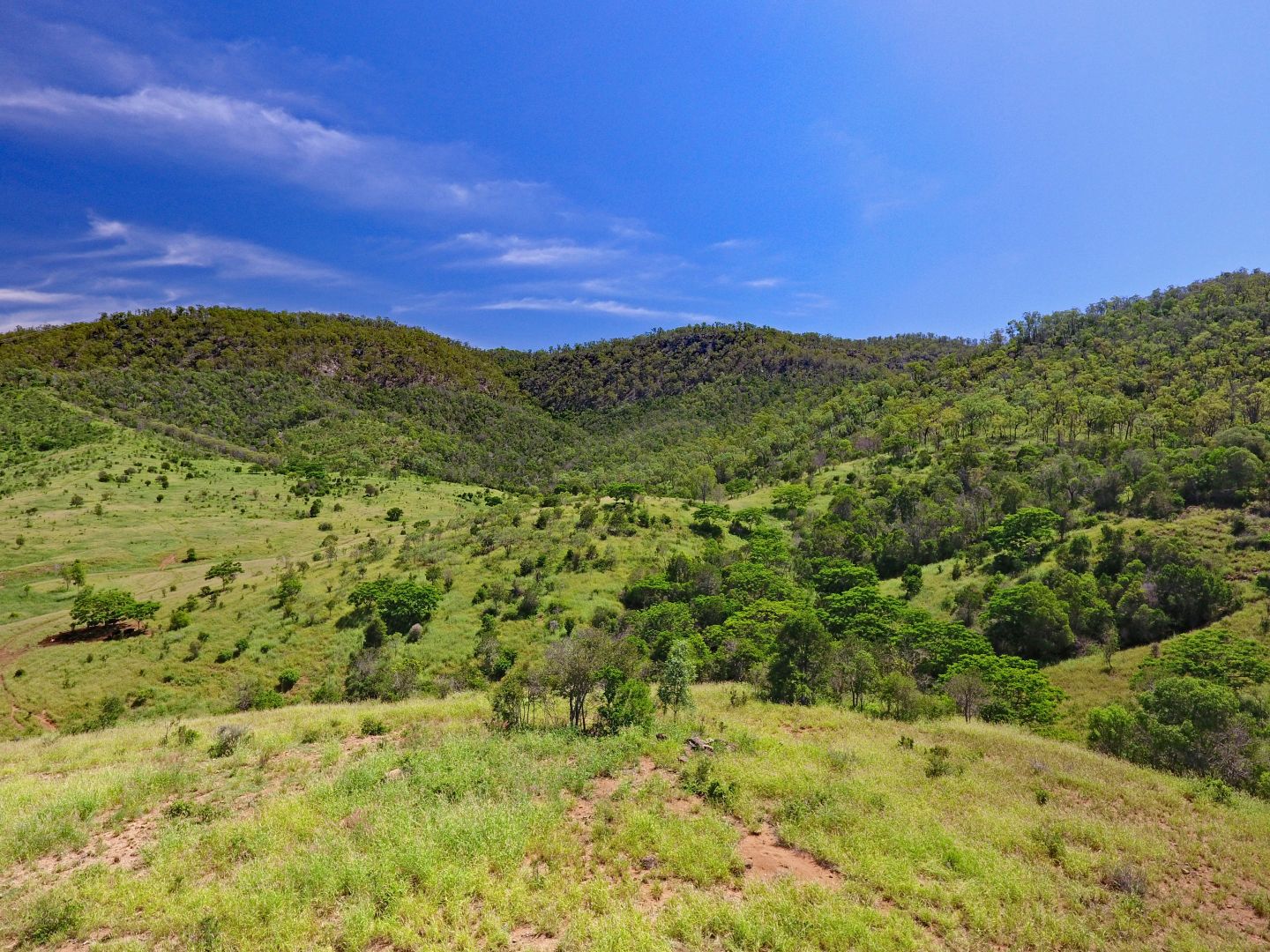 Coal Road, Dumgree QLD 4715, Image 1