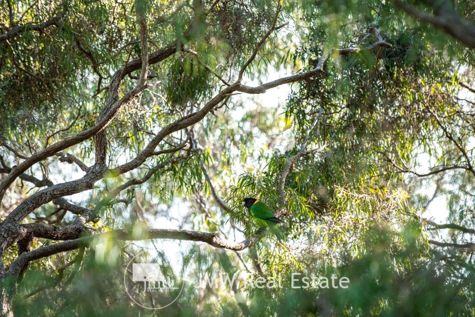 Lot 515 Kurrajong Parkway, Witchcliffe WA 6286, Image 0