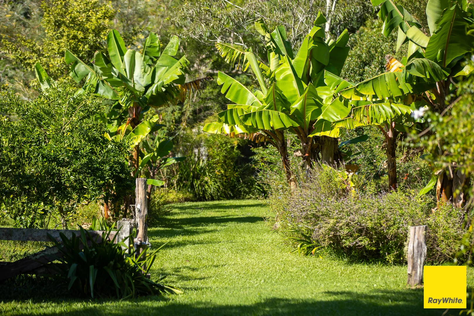 Additional image 22 of 'Sunrise' Darkwood Road, Bellingen NSW 2454