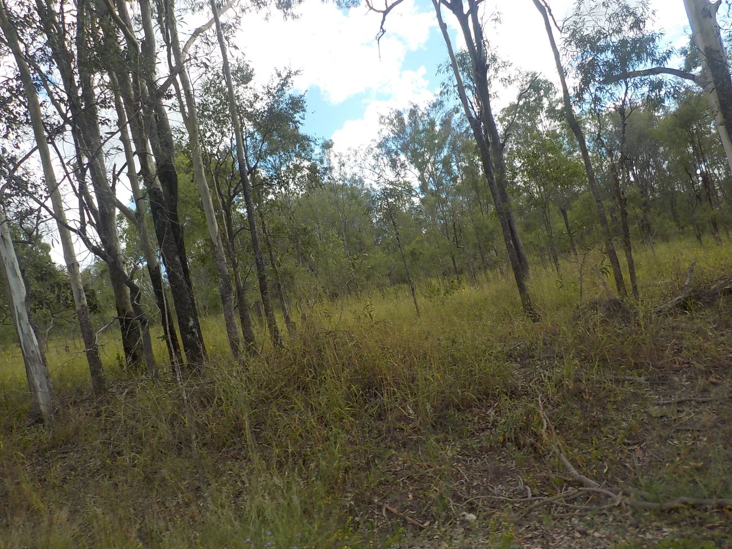 Gin Gin QLD 4671 Specialist Farm for Sale 110,000 Domain