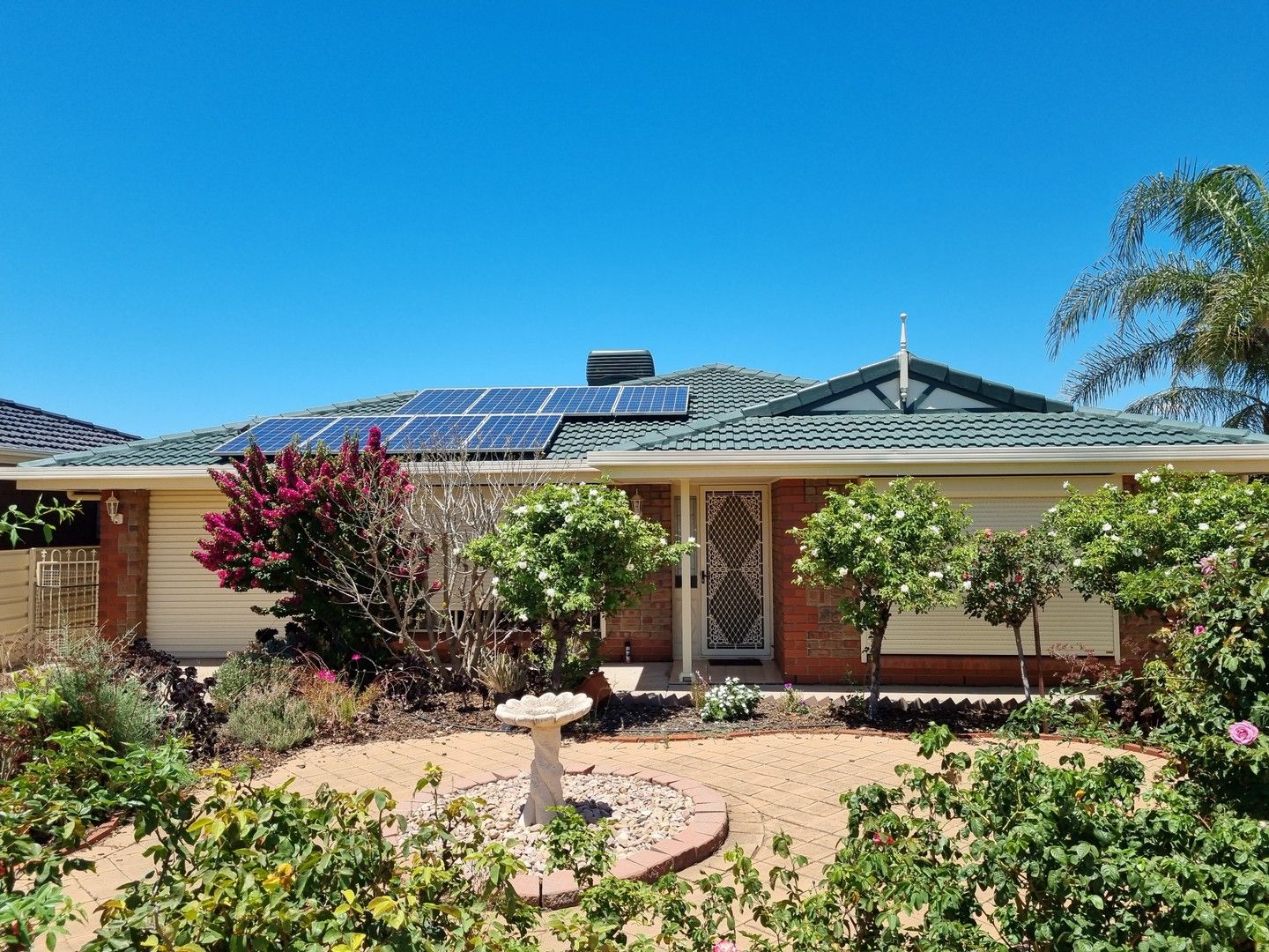 23 Fletcher Court, Port Pirie SA 5540 House For Rent Domain