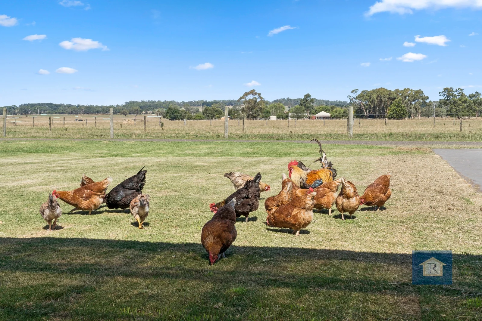 Additional image 21 of 180 Irrewillipe-Pirron Yallock Road, Irrewillipe VIC 3249