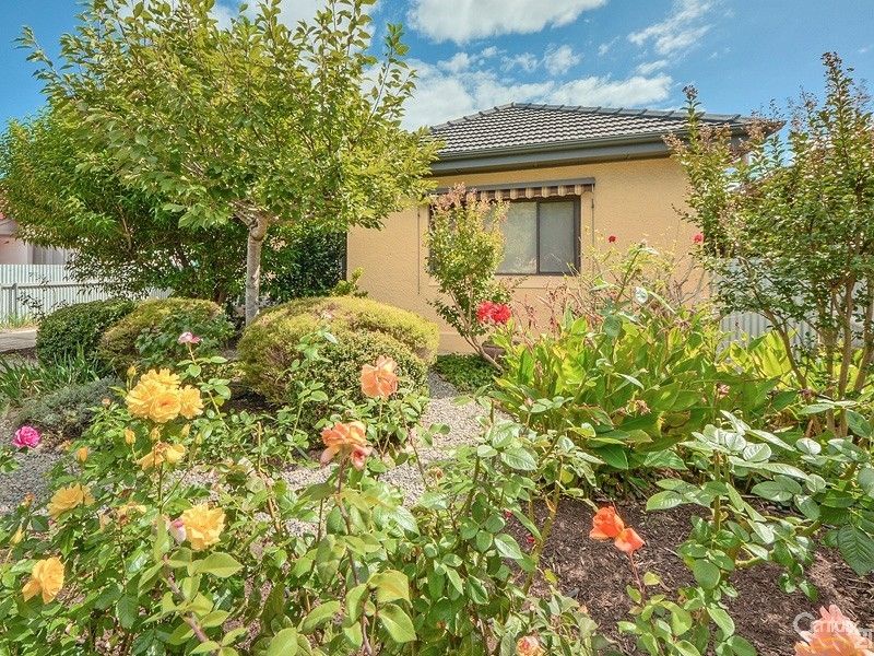 19 Lindsay Street, Camden Park SA 5038, Image 0