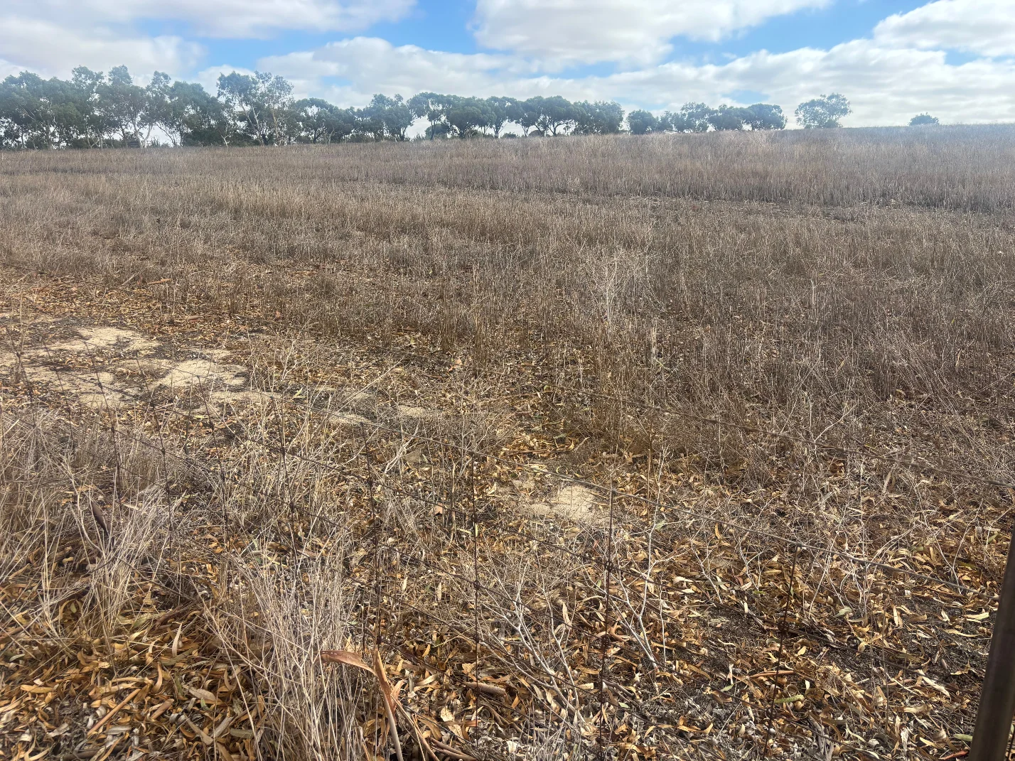 Additional image 9 of Lot 9678 Geraldton Mount Magnet Road, Wicherina WA 6532