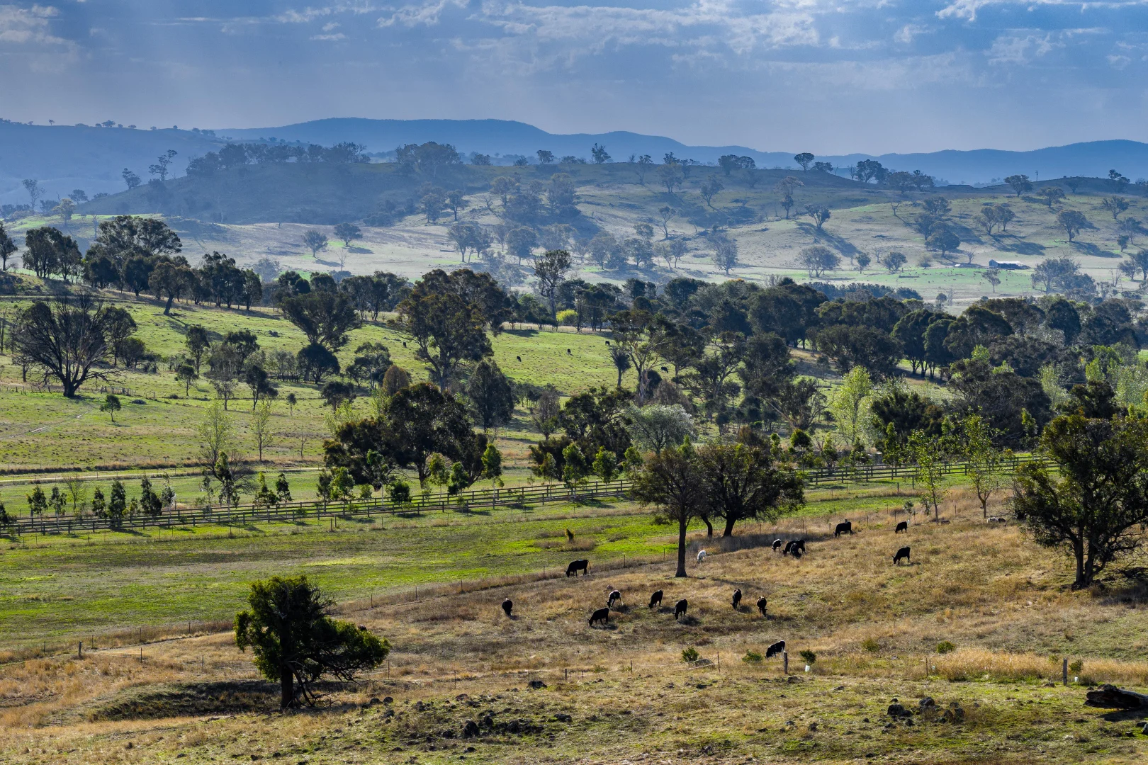 Additional image 21 of "Savannah Springs" 294 Rolfe Road, Wallaroo NSW 2618