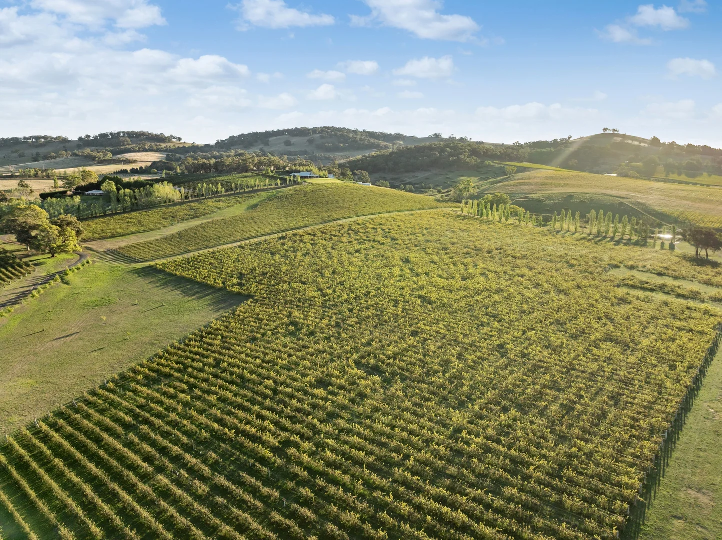 Additional image 41 of 603 Emu Swamp Road, Orange NSW 2800