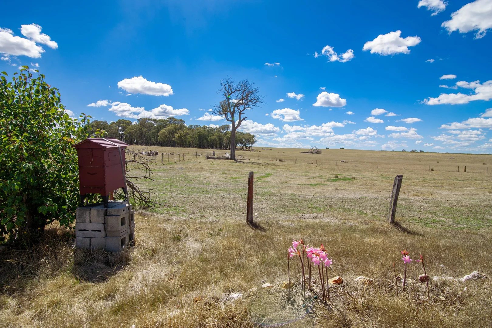 Additional image 12 of 156 Rose Vale Road, Fullerton Via, Crookwell NSW 2583