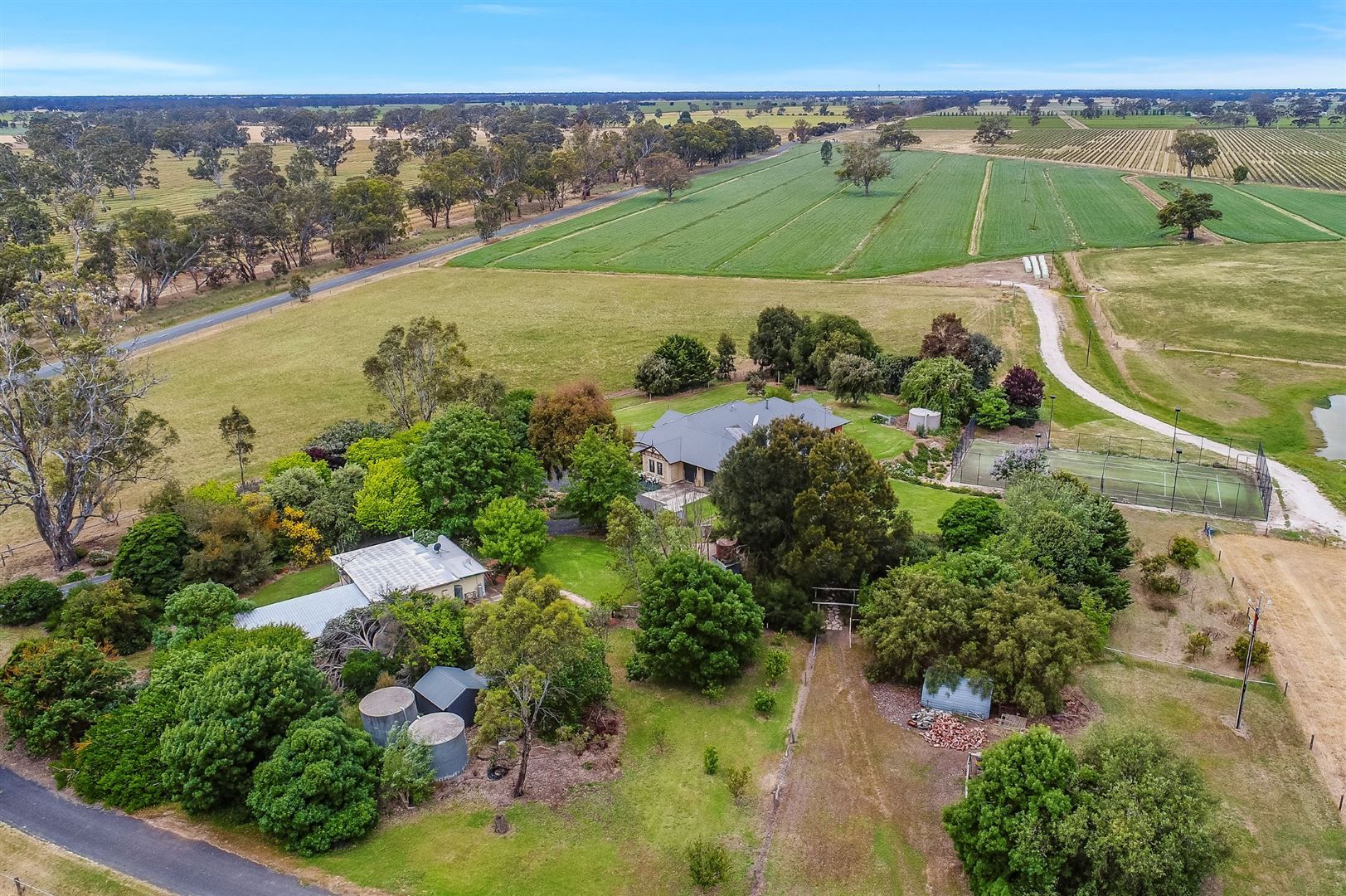 113 Cannon Ball Hill Road, Mundulla SA 5270, Image 2