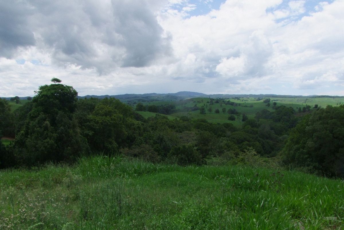Tarzali QLD 4885 Vacant Land for Sale 180,000 Domain