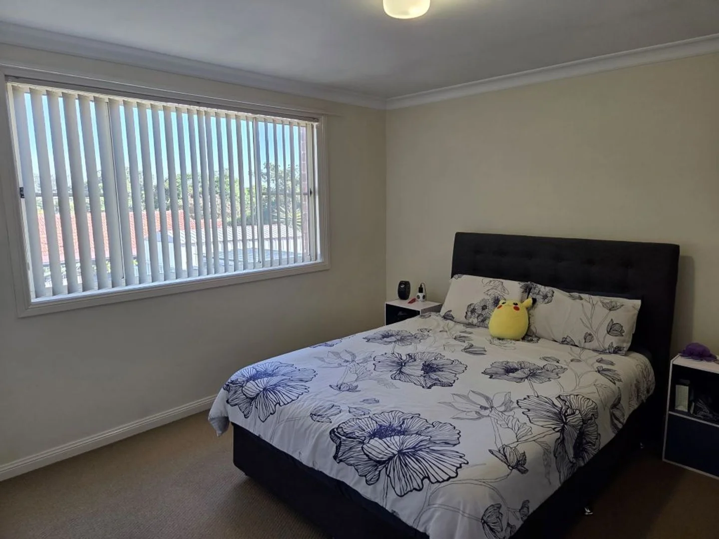 Additional image 21 of 117 Hill Street, Muswellbrook NSW 2333