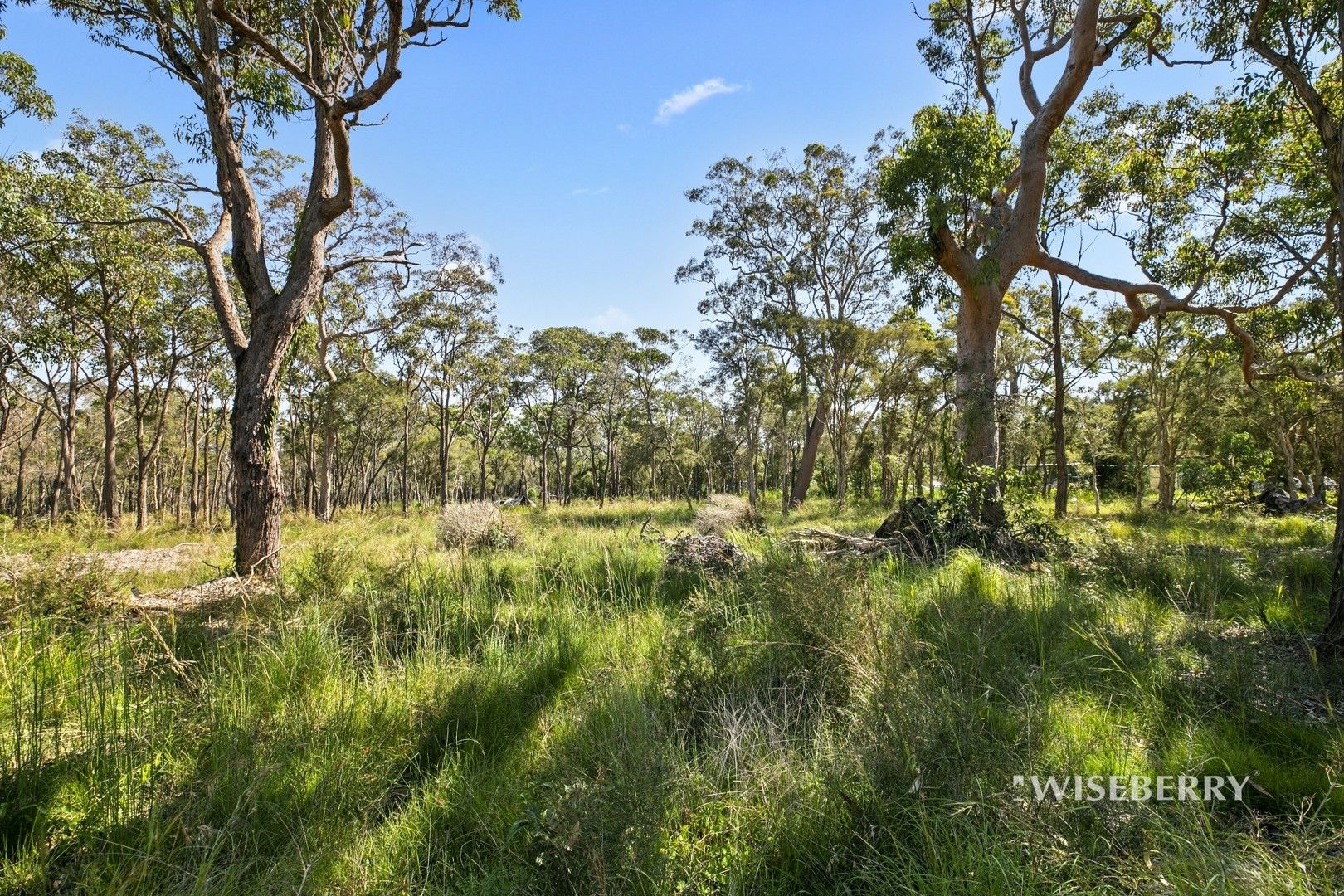 Vacant land in 180 Bruce Crescent, WALLARAH NSW, 2259