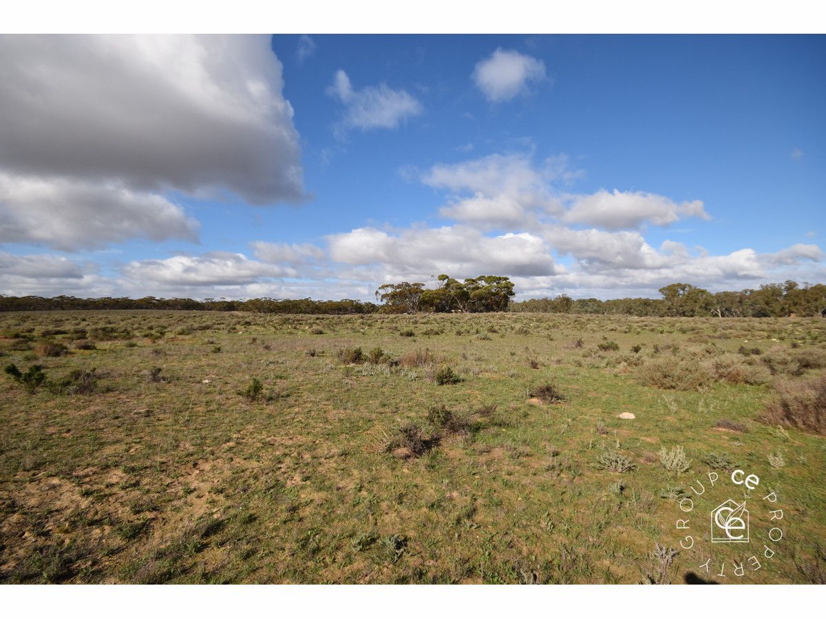 Lot 2 Cnr Black Hill Road & Muellers Road, Cambrai SA 5353, Image 2