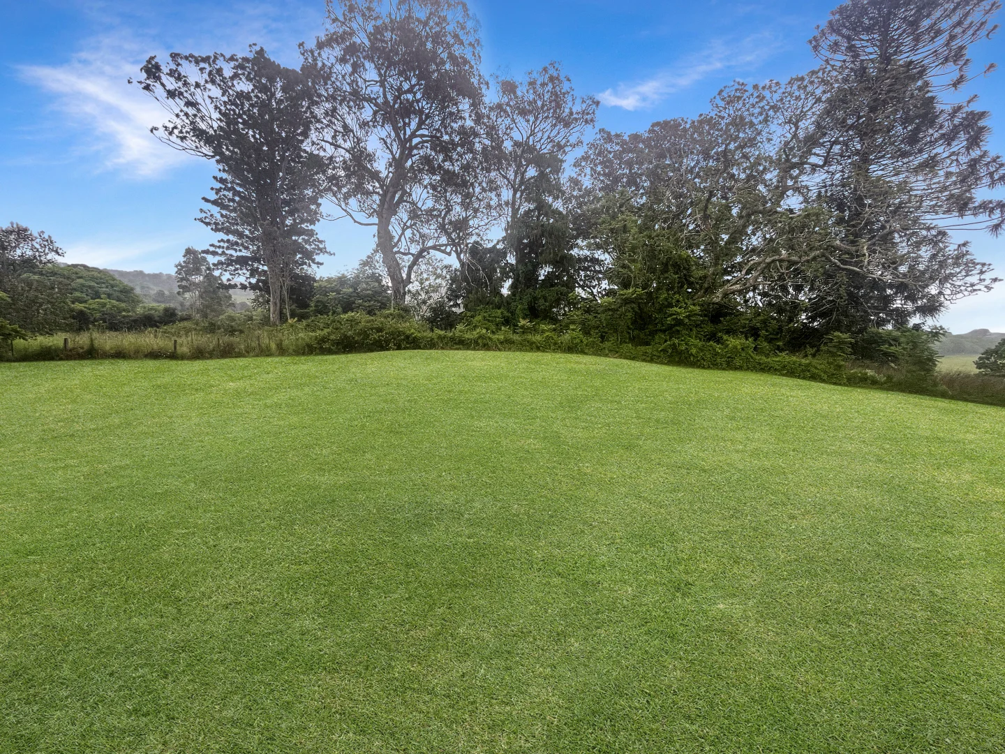 Image 28