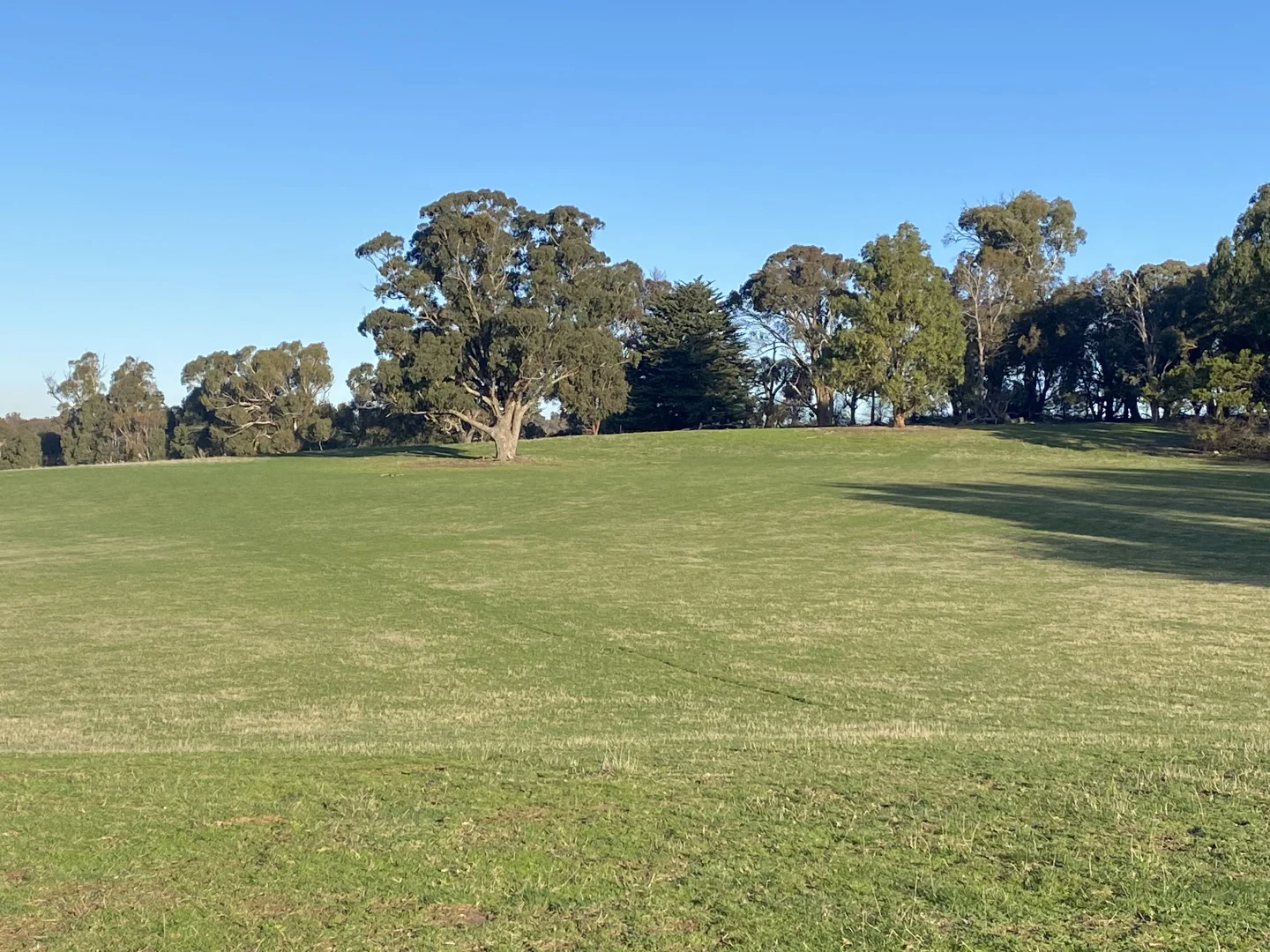 Image 21